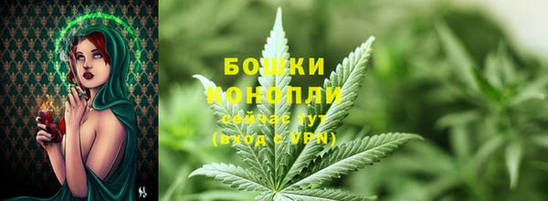 ГАЛЛЮЦИНОГЕННЫЕ ГРИБЫ Анжеро-Судженск