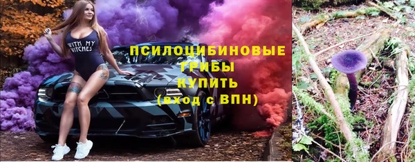 спайс Анива