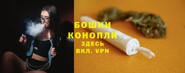 спайс Анива