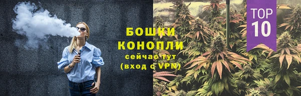 спайс Анива