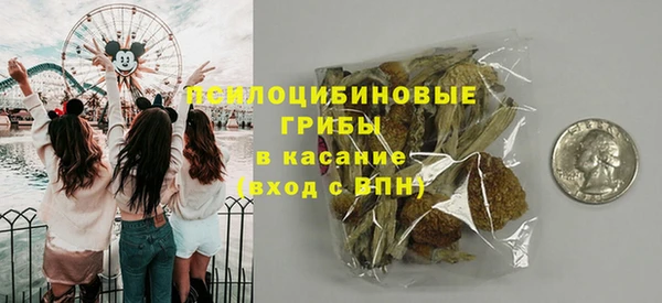 спайс Анива