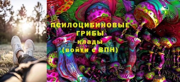 спайс Анива