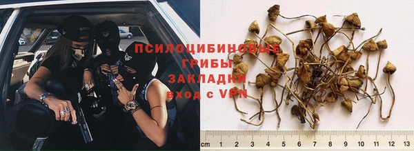 ГАЛЛЮЦИНОГЕННЫЕ ГРИБЫ Анжеро-Судженск